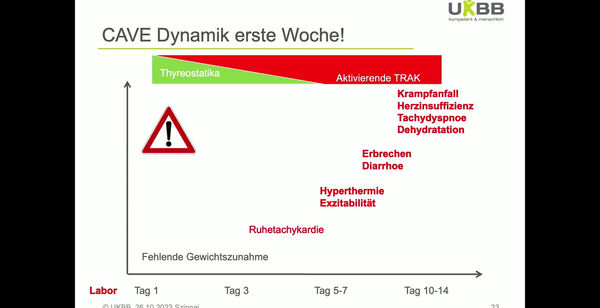 Endocrinologie 26-10-23 Promo